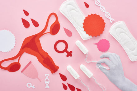 Top 6 Myths About Ovulation